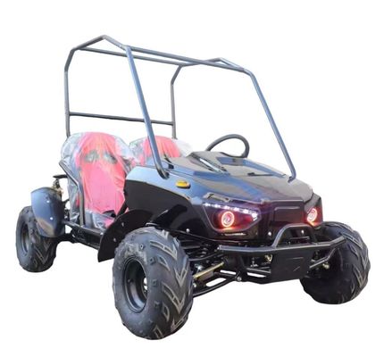 Débloquez la puissance du moteur différentiel sans balai de 1200W Dune Buggy Go Kart Buggy 2 places