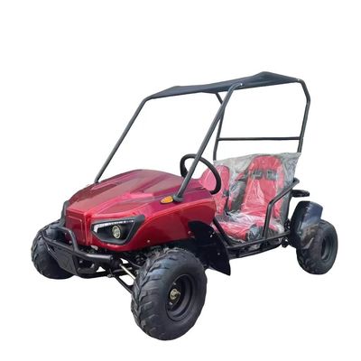 Débloquez la puissance du moteur différentiel sans balai de 1200W Dune Buggy Go Kart Buggy 2 places