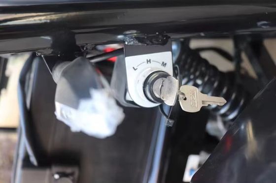Débloquez la puissance du moteur différentiel sans balai de 1200W Dune Buggy Go Kart Buggy 2 places