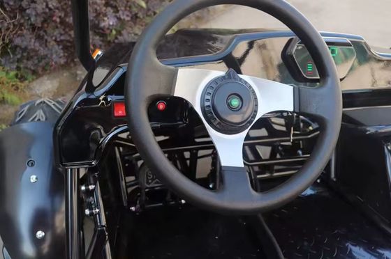 Transmission de l'arbre 1000W électrique Go Kart 2 sièges Buggy 60V pour adolescent