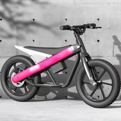 300W 24V batterie Mini vélo électrique pour enfants équilibre avec pneu pneumatique et 3 vitesses
