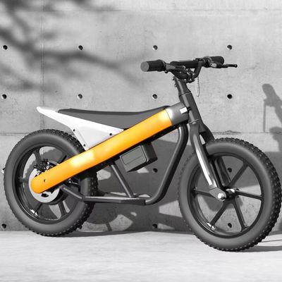 300W 24V batterie Mini vélo électrique pour enfants équilibre avec pneu pneumatique et 3 vitesses