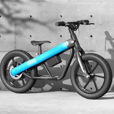 300W 24V batterie Mini vélo électrique pour enfants équilibre avec pneu pneumatique et 3 vitesses