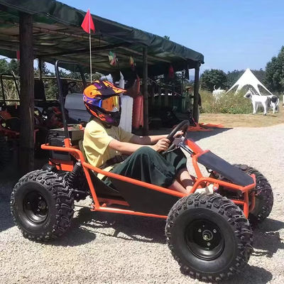 Parcs d'attractions Location Golf Buggy Cart avec moteur sans balai de 1000W et certification CEE