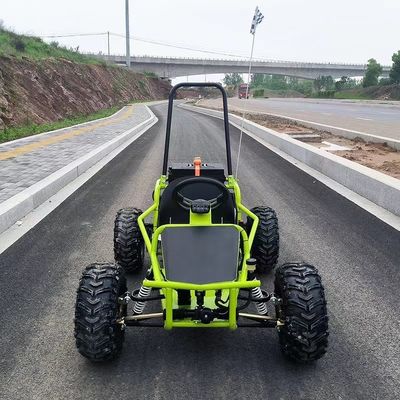 Pistes de neige et de sable 1000W Drive d'arbre Go Kart Aotong Moteur électrique Golf Buggy