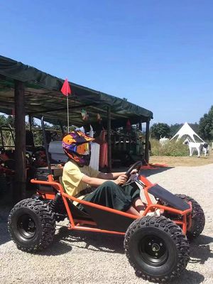 Pistes de neige et de sable 1000W Drive d'arbre Go Kart Aotong Moteur électrique Golf Buggy