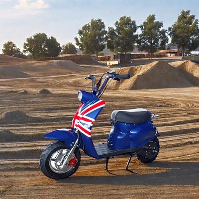 DISC frein 49cc mini vélo de terre à gaz pour le plaisir en plein air des enfants dans des couleurs personnalisées