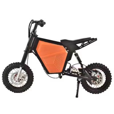 Off-Road Motocycles 500W Vélo de montagne électrique 36V pour une expérience de conduite ultime
