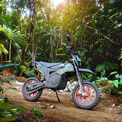48V de tension électrique motocycle Cross pour les enfants Max. Vitesse 40-60km/h Batterie au lithium