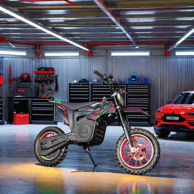 48V 60V 1200W1600W 2000W vélo électrique avec frein à disque mécanique avant et arrière