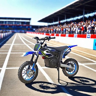 1200W vélo électrique avec autocollants et max. vitesse 40 60km/h Off-road motocycle