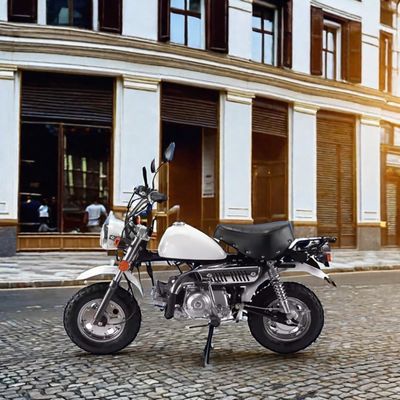 Off-Road Adventure 110cc Monkey Bike avec certificat CE et couleurs personnalisées prises en charge