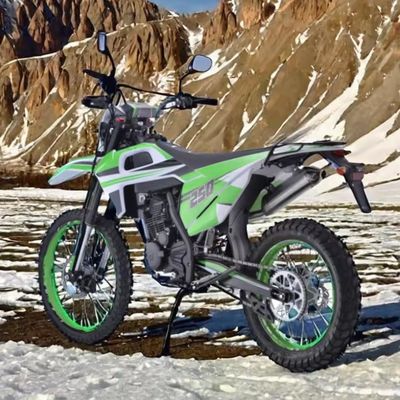 200-400cc de cylindrée Off Road Dirt Bike Motocycles avec des choix de couleurs personnalisables