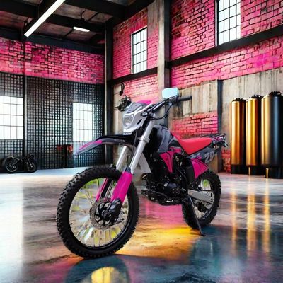 Amenez votre course hors route au niveau supérieur avec notre moto de 250cc