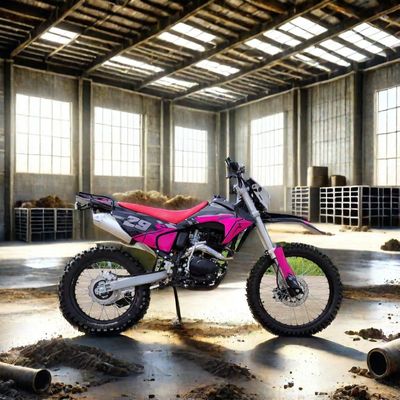 Le démarrage électrique 250cc Enduro Dirt Bike Max. Vitesse 100km/h Idéal pour les aventures hors route