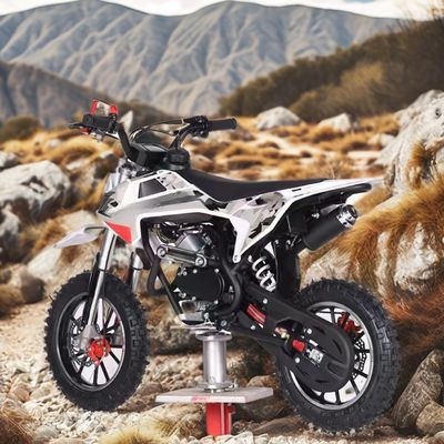 Couleurs supportées personnalisées Moteur 60CC 4 temps Vélo de terre pour enfants avec frein DISC