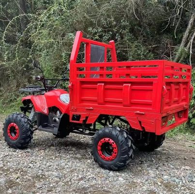 ATV agricole Aotong 125cc/150cc avec remorque et boîte de chargement 2WD 4WD hors route ATV Voltage 12V