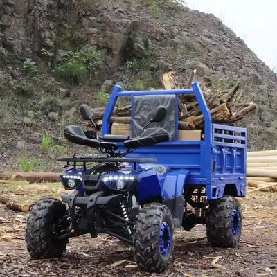 ATV agricole Aotong 125cc/150cc avec remorque et boîte de chargement 2WD 4WD hors route ATV Voltage 12V