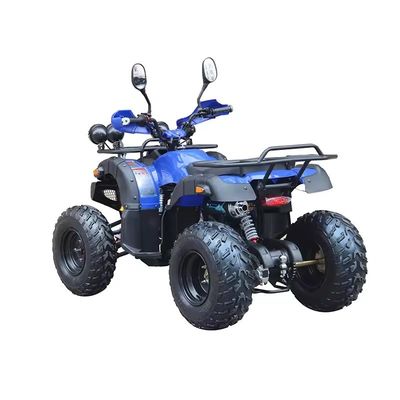12V Voltage Adultes Quads Benzine 150cc Quadricycle à quatre roues avec moteur sans balai