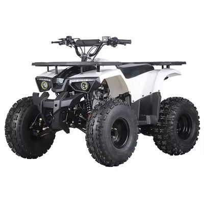 Moteur 125cc Quadbike ATV Moteur de moto 125cc pour verrouillage différentiel Non équipé
