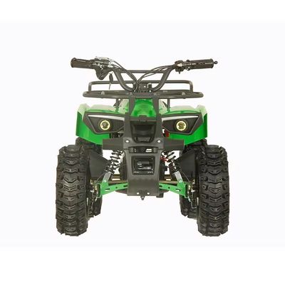 Street Legal 1200W ATV Quatre roues Quad Bike avec 2 roues à roue et 30-50 km de kilométrage