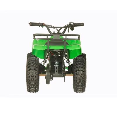 Street Legal 1200W ATV Quatre roues Quad Bike avec 2 roues à roue et 30-50 km de kilométrage