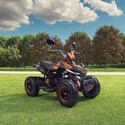 Les enfants 50cc 4 roues Quad Atv avec certification Ce et Mini moto à quatre roues 49cc