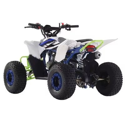 Offre FOB CFR pour 125cc à essence ATV Quad Bikes Off Road Bike 110cc 125cc Couleurs personnalisées