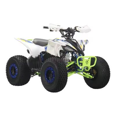 110cc 125cc Quad ATV pour adultes Conception et verrouillage différentiel non équipé