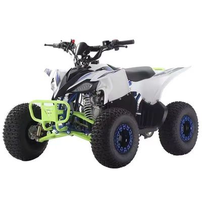 110cc 125cc Quad ATV pour adultes Conception et verrouillage différentiel non équipé