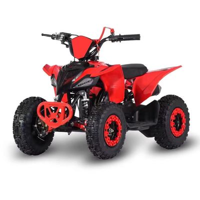 Type de conduite 2WD 2024 49cc 50cc 2 temps Mini Quad vélo à essence ATV pour enfants avec CE
