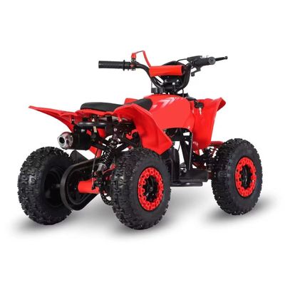Type de conduite 2WD 2024 49cc 50cc 2 temps Mini Quad vélo à essence ATV pour enfants avec CE