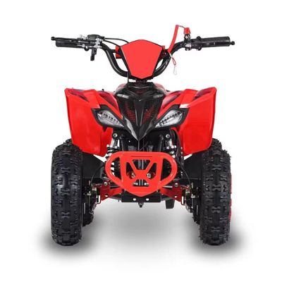 Type de conduite 2WD 2024 49cc 50cc 2 temps Mini Quad vélo à essence ATV pour enfants avec CE
