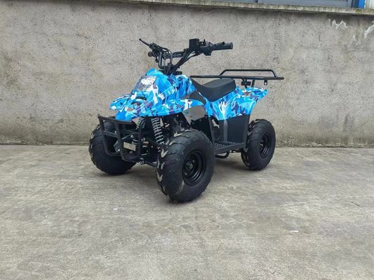 70CC/110CC Automatique Quad Jouet amusant ATV Buggy pour les adolescents avec 1 cylindre et abordable