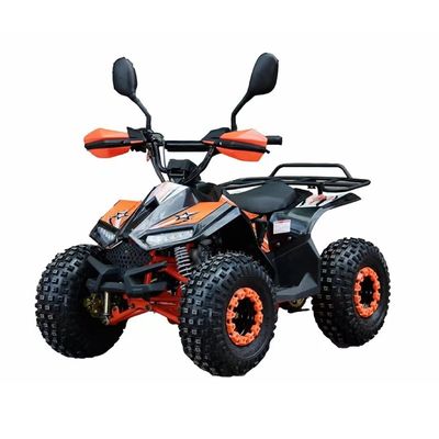 110CC 125CC Quad ATV pour adulte avec homologation CE et largeur minimale de 100-150 mm