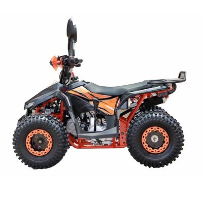 110CC 125CC Quad ATV pour adulte avec homologation CE et largeur minimale de 100-150 mm