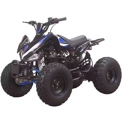 Système de freinage à disque arrière 90cc 110cc 125cc 1 cylindre ATV hors route pour enfants
