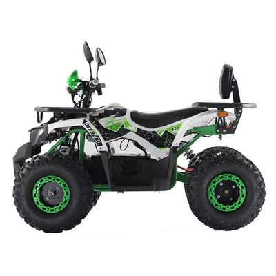 Frénésie à disque 1200W/1500W 60V ATV électrique à quatre roues avec support de couleurs personnalisées
