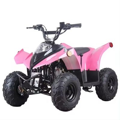 Transmission à chaîne compacte ATV 125cc 110CC 70CC avec faible consommation de carburant