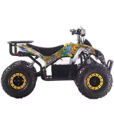 Couleurs personnalisées Quads ATV 1000W/1500W avec frein à disque Ft Rr