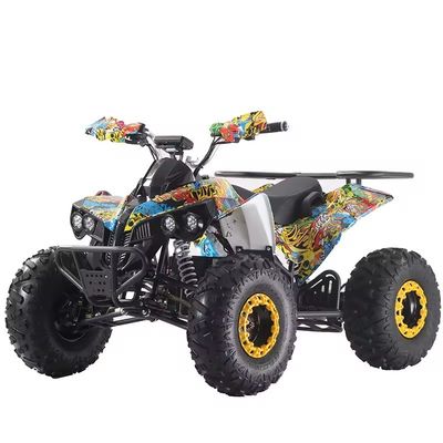 Couleurs personnalisées Quads ATV 1000W/1500W avec frein à disque Ft Rr