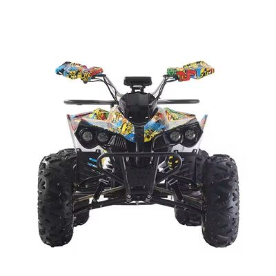 Couleurs personnalisées Quads ATV 1000W/1500W avec frein à disque Ft Rr