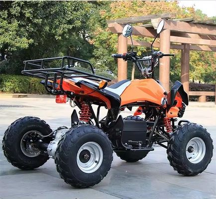 800w/1000w 48v/60v ATV moteur sans balai électrique 4 roues Quad Bike ATV pour une conduite en douceur