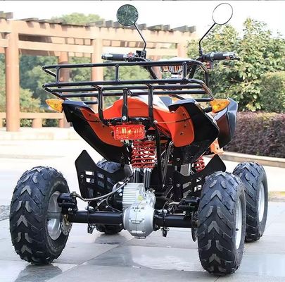 800w/1000w 48v/60v ATV moteur sans balai électrique 4 roues Quad Bike ATV pour une conduite en douceur