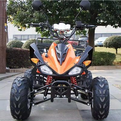 800w/1000w 48v/60v ATV moteur sans balai électrique 4 roues Quad Bike ATV pour une conduite en douceur