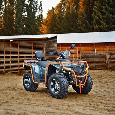 Couleurs personnalisées 2024 Farm Quads 300cc 4x4 Grands utilitaires de puissance ATV avec capacité de grade