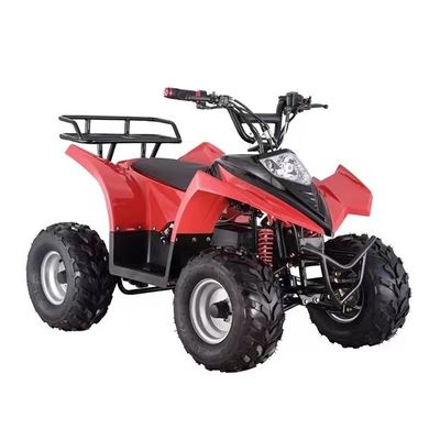 Piles au plomb-acide Quad Bike électrique pour adultes 8 pouces pneus et capacité de classement ≥ 25°