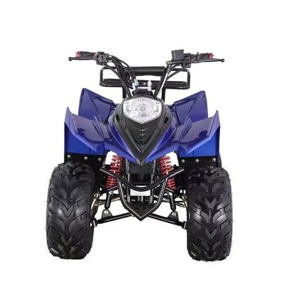 Piles au plomb-acide Quad Bike électrique pour adultes 8 pouces pneus et capacité de classement ≥ 25°