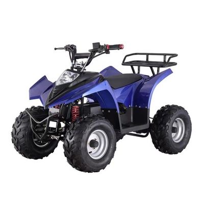Piles au plomb-acide Quad Bike électrique pour adultes 8 pouces pneus et capacité de classement ≥ 25°
