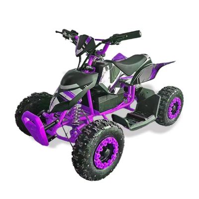 600-1000 mm d'empattement VTT électrique 500W 800W hors route Motocycle 4 roues Quad Bike